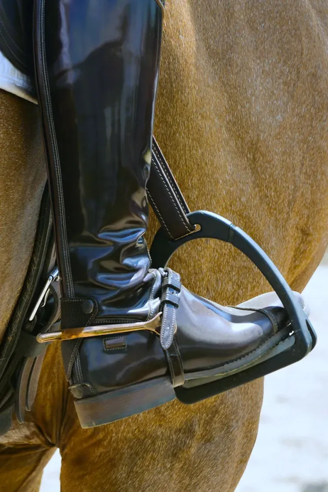 Cheval de compétition à Lamorlaye